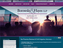 Tablet Screenshot of borowsky.com